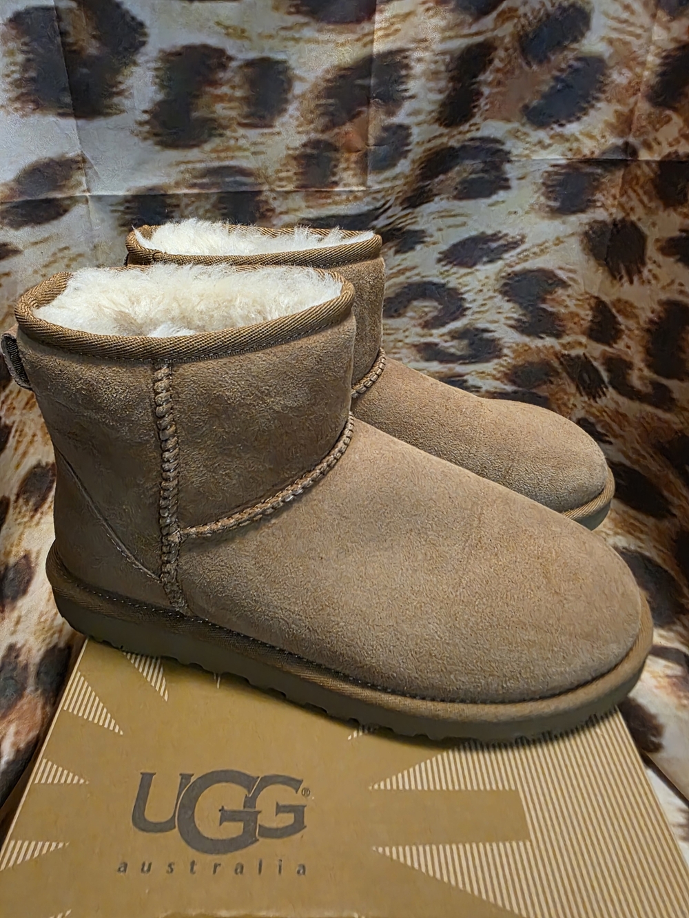 UGG CLASSIC MINI Boots in Chestnut - Size 6